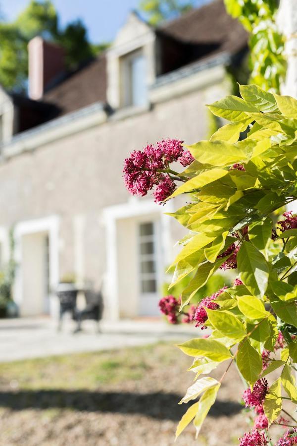 Les Terrasses Suite Et Loft De Campagne Avon-les-Roches Bagian luar foto